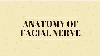 Anatomy of FACIAL NERVE  Introduction and its Course  Handwritten Notes for NEET PG [upl. by Catlaina]