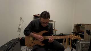 Fives Guthrie Govan cover [upl. by Eira794]