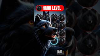 Can you FIND THE DIFFERENT BLACK WOLF🐺Test your observation power [upl. by Kilam]