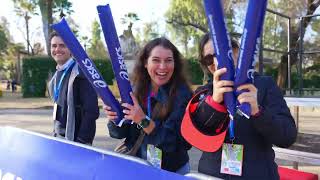 Maraton de Sevilla  Seville Marathon 2024 Highlights [upl. by Pagas]