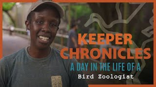 A Day in the Life of a BIRD ZOOLOGIST [upl. by Aleyam]