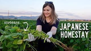 My Japanese Farm Homestay Experience 🌾 [upl. by Damalas220]