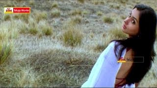 Brahma oh Brahma Enta Mudduga Undi Gumma  Gemini Telugu Movie Songs  VenkateshNamitha [upl. by Bridwell853]