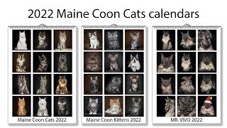 2022 Maine Coon Cats calendars by Felis Gallery [upl. by Howlyn]