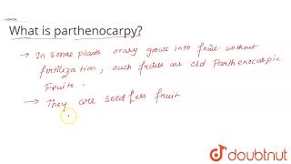 What is parthenocarpy [upl. by Dolly23]