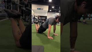 Beginner scapula work calisthenics planche physicaltherapy beginner [upl. by Herman]