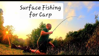 A Summer of Surface Fishing for Carp ft PB Scaler Banger [upl. by Denoting576]