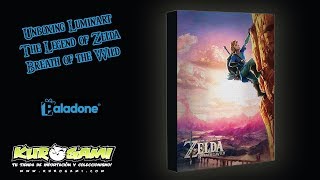 Unboxing Luminart Zelda Breath of the Wild [upl. by Horvitz]