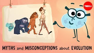 Myths and misconceptions about evolution  Alex Gendler [upl. by Joung]