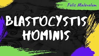 Blastocystis hominis [upl. by Prosperus]