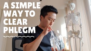 Clear phlegm now how to get rid of sputum cold flu pneumonia [upl. by Buatti]