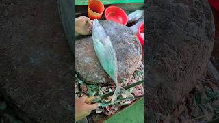 Wow Skipjack tuna fish cutting skills 🔥 shorts tunacutting [upl. by Goebel]