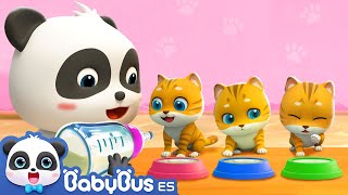 Mi Mascota Está Enferma  Cuida al Bebé Gatito  Videos para Niños  BabyBus en Español [upl. by September]