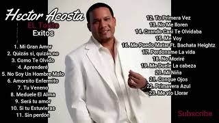 El Torito Bachata mix Hector acosta [upl. by Spearing13]