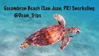 San Juan PR Snorkeling at Escambron Beach [upl. by Odlamur]