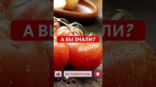 Все о помидорах Смотрите полное видео на канале [upl. by Bathsheeb]