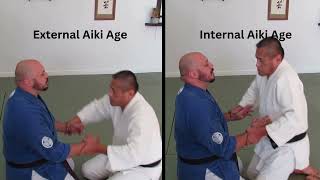 External vs Internal Aiki Age  American Yoshinkan Aiki Jujutsu [upl. by Nazar910]