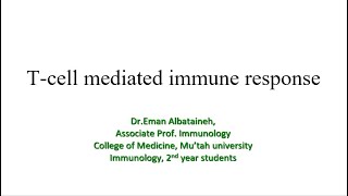 Immunology  T cell mediated immune response [upl. by Rennug]