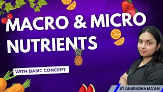 MACRO NUTRIENTS amp MICRO NUTRIENTS  Basic concept  by ThePrepZone nutrients NCERT biology [upl. by Nnaycnan73]