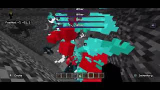 100 warden vs 10 bedrock wither [upl. by Anuahsat]