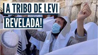 ENCONTRAMOS A TRIBO DE LEVI EMOCIONANTE Quem são as 12 tribos de Israel [upl. by Haggerty]