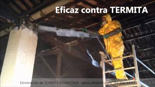 TERMITA y CARCOMA Tratamiento de la madera con GEL [upl. by Heer]