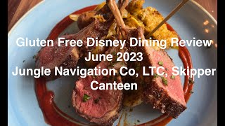 Gluten Free Disney Dining Review Jungle Navigation Co LTD Skipper Canteen June 2023 [upl. by Oicram212]