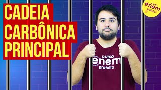 CADEIA CARBÔNICA PRINCIPAL  Resumo de Química Orgânica para o Enem [upl. by Helmer876]