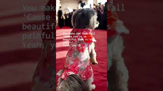 Queen melania my baby Girl on red carpet fayetteville [upl. by Leighton]