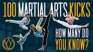 100 DIFFERENT KICKS  FOC Kicktionary  Taekwondo Karate Capoeira Tricking Martial Arts [upl. by Pavia]