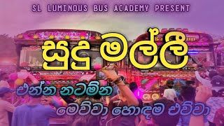 Sudu Malli dj Remix  The Best Bus Dj 2023  Sl Vip Bus King Official Video [upl. by Yrehc]