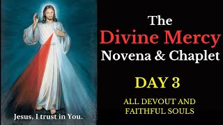 Divine Mercy Novena amp Chaplet  Day 3 [upl. by Nnylakcaj359]