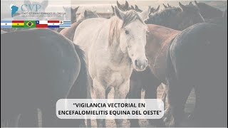 VigilanciaVectorial en encefalomielitis equina del oeste 25062024 [upl. by Niamor311]