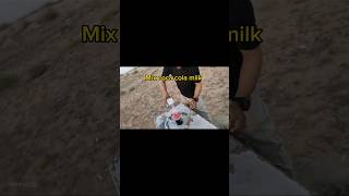 Cocacola vs milk mix YouTube shorts feed Experiment [upl. by Lole]