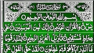 Surah Yaseen YasinSharif  Ep0180 by Qari haleem Beautiful Tilawat of سورۃ یٰس 36 [upl. by Aicilav]