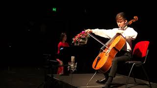 Guillaume Wang performs Sarasates Zigeunerweisen arranged for Cello [upl. by Nitsirk]