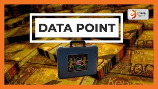 DATA POINT  202425 Budget cut by Ksh 1987B [upl. by Lednew]