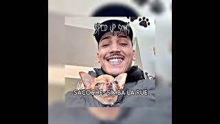 sacoche by simba la rue but its sped up [upl. by Anileba992]