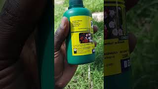 USE this organic insecticide with PYRETHRIN for effective control of biting amp sucking crop pests [upl. by Dagny]