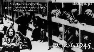 70 rocznica wyzwolenia niemieckiego obozu KL Auschwitz FOTOKAST [upl. by Theola]