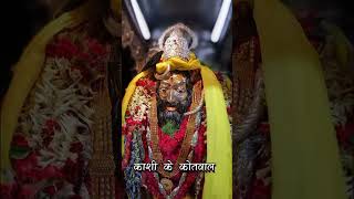 Kashi ke Kotwal kaalbhairav 🕉️🔱☘️🙇🏻‍♂️ kaalbhairav kaalbhairavashtakam [upl. by Buckels214]