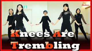 Knees Are Trembling Linedance by Sue DemoTuesday Styling Class 숄더롤 다양한 포인트 스텝 회전이 재미있는 초급댄스 [upl. by Aspasia]