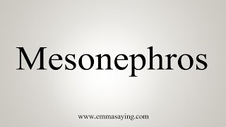 How To Say Mesonephros [upl. by Marje]