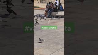 valetta malta 🇲🇹 europe everyone Europe everyone Europe everyone cover song maltalovers [upl. by Elleuqram953]