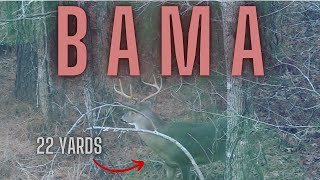 RUTTING Bama Bucks in Bow Range Bow Hunting the Alabama Rut  LONGTINE OUTDOORS EP 4 [upl. by Avan]