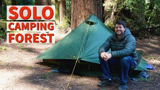 Solo Camping in Redwood Forest at Samuel P Taylor State Park [upl. by Eltotsira134]