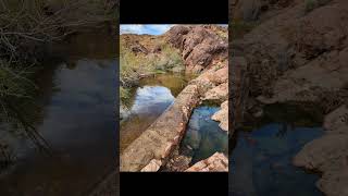 Quartzsite Horse Tank watering formation [upl. by Yznyl]