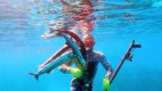 We Went Spearfishing for Barracuda🐟 in the Caribbean [upl. by Burnie]