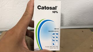 Catosal ⚡️ Thái Lan 🇹🇭 👉 Thuốc bổ tốt nhất 👍 [upl. by Ayanej]