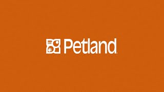 Petland Live Transformando o Mercado Pet [upl. by Kariv795]